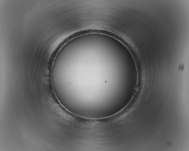 X0000111500926200907141309