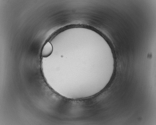 X0000111500927200907141309
