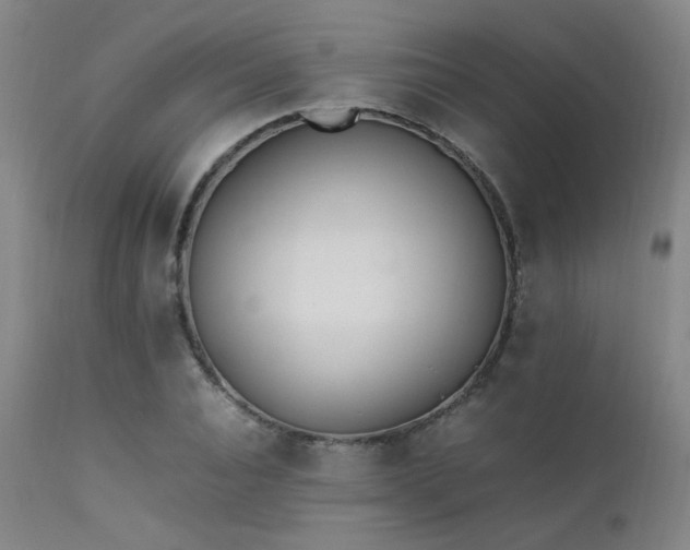 X0000111500928200907141309