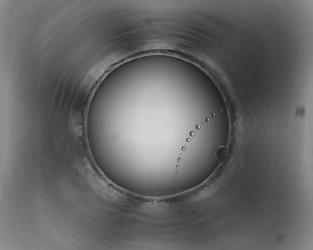 X0000111500929200907141309