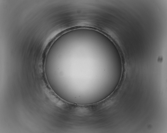 X0000111500931200907141309