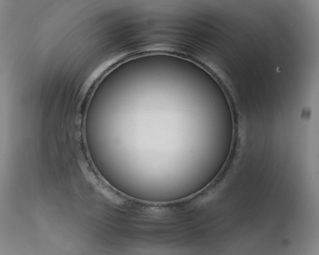 X0000111500933200907141309