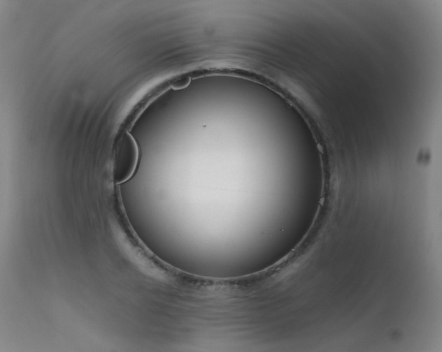 X0000111500934200907141309