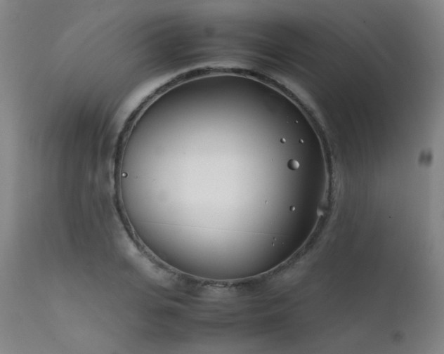 X0000111500935200907141309