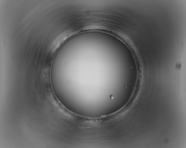 X0000111500937200907141309