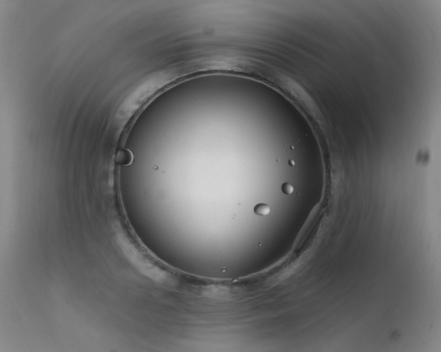 X0000111500938200907141309