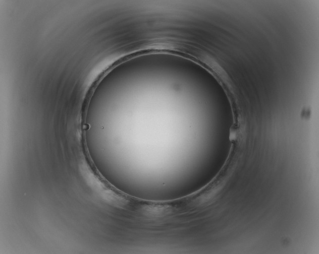X0000111500939200907141309