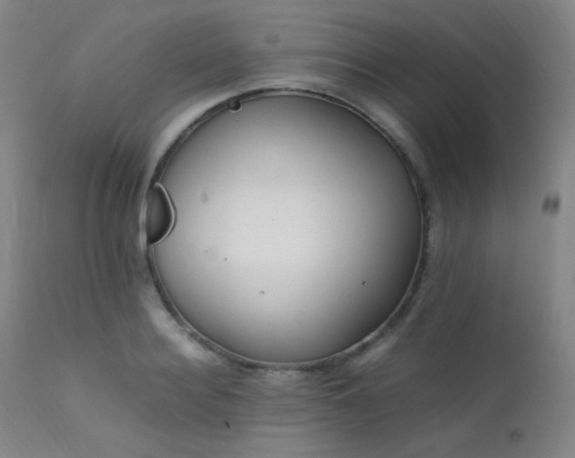 X0000111500940200907141309