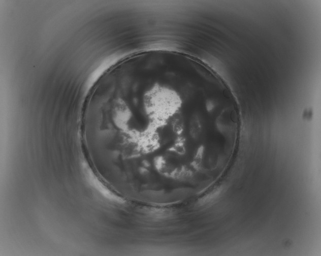 X0000111500941200907141309