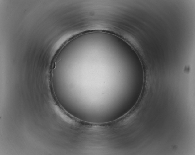 X0000111500942200907141309