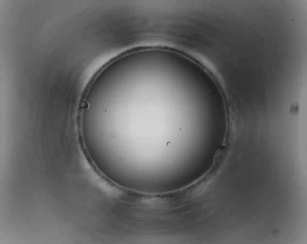 X0000111500943200907141309