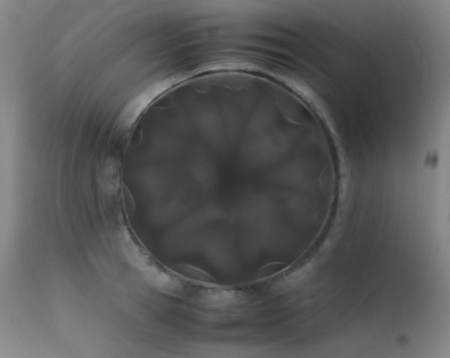 X0000111500945200907141309