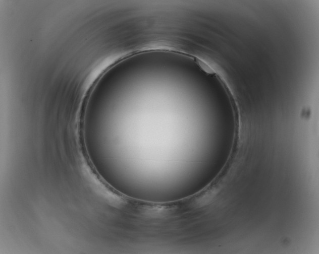 X0000111500949200907141309