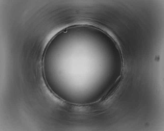 X0000111500951200907141309