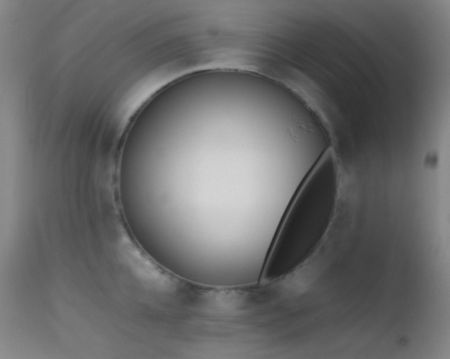 X0000111500952200907141309