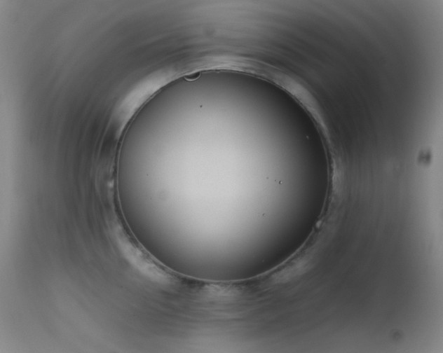 X0000111500954200907141309