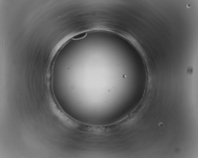 X0000111500955200907141309