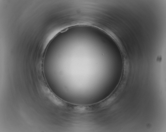 X0000111500956200907141309