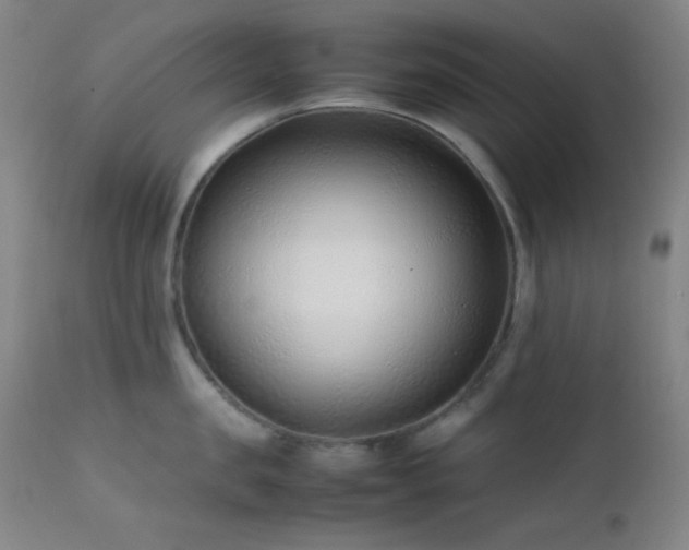 X0000111500957200907141309