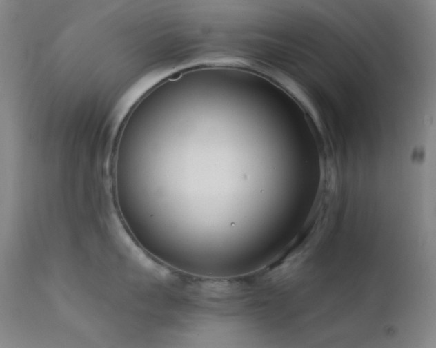 X0000111500959200907141309