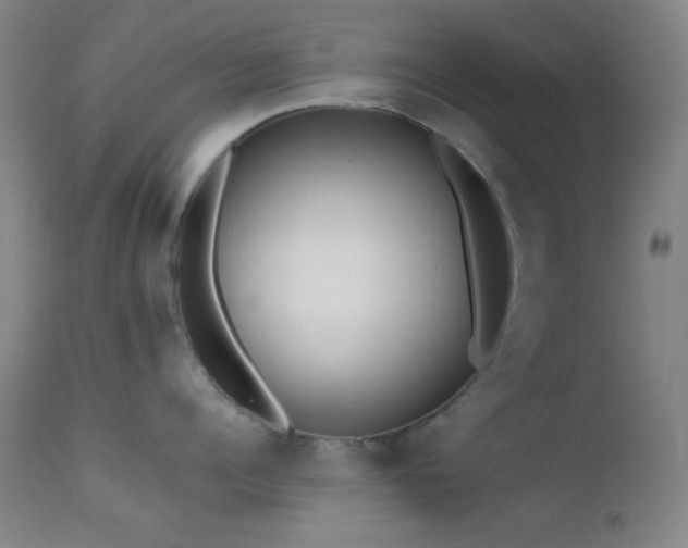 X0000111500960200907141309