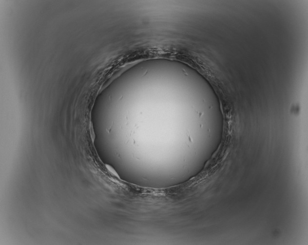 X0000111500961200907141308