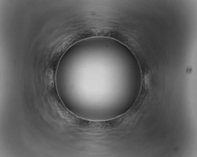 X0000111500963200907141308