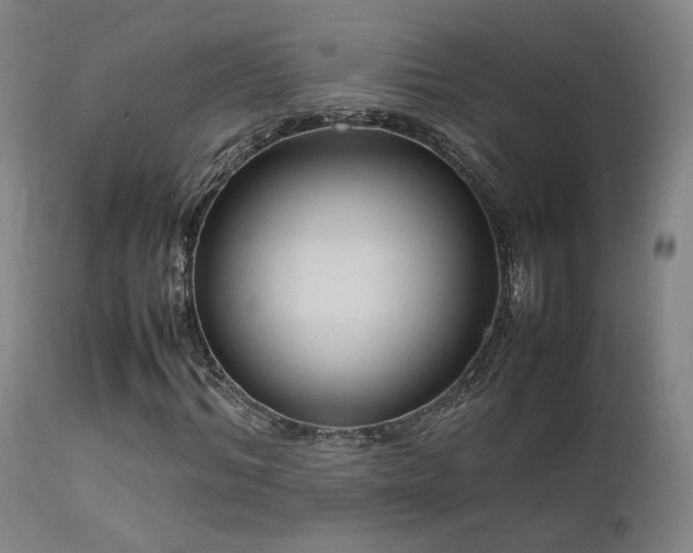 X0000111500964200907141308