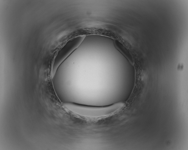 X0000111500965200907141308