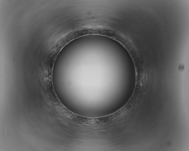 X0000111500966200907141308