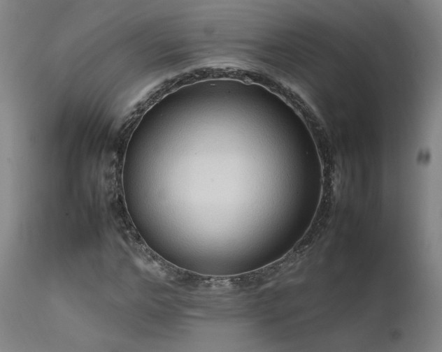 X0000111500968200907141308