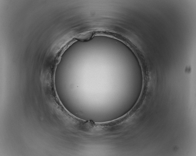 X0000111500969200907141308