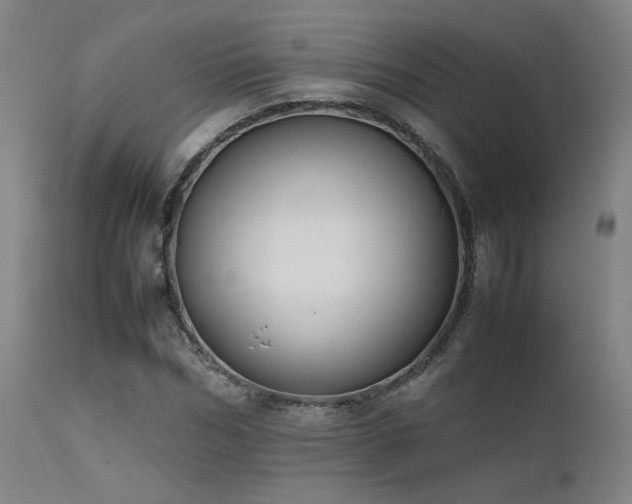 X0000111500970200907141308