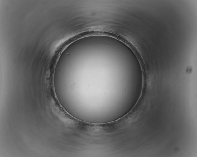 X0000111500971200907141308