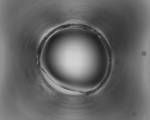 X0000111500973200907141308