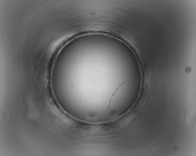 X0000111500979200907141308