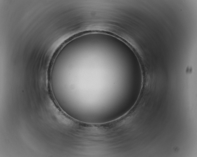 X0000111500980200907141308