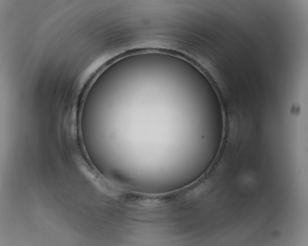 X0000111500982200907141308