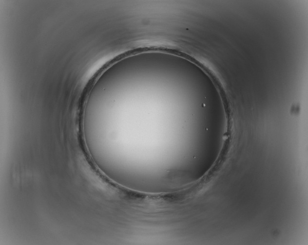 X0000111500983200907141308