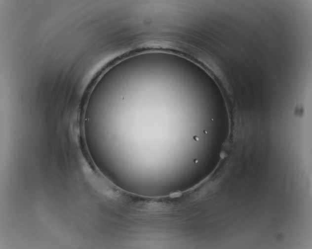 X0000111500984200907141308