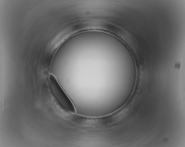 X0000111500985200907141308