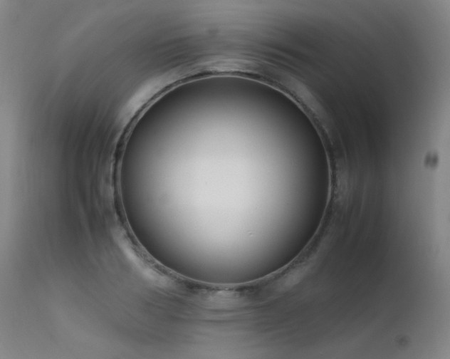 X0000111500986200907141308