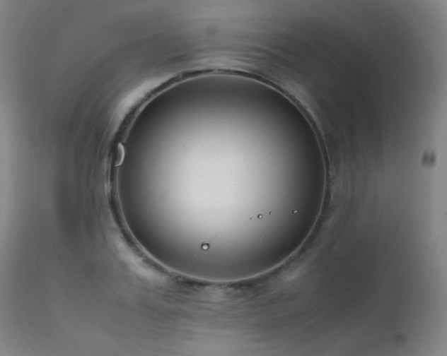 X0000111500987200907141308