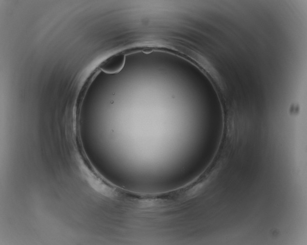 X0000111500988200907141308