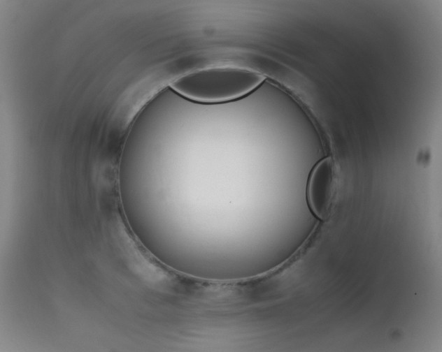 X0000111500993200907141308