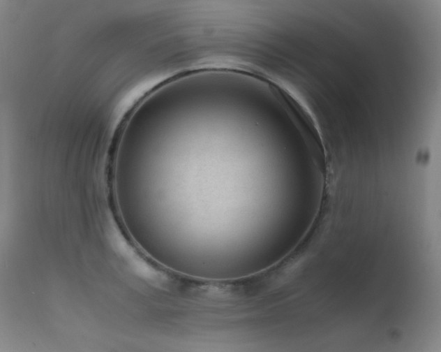 X0000111500995200907141308