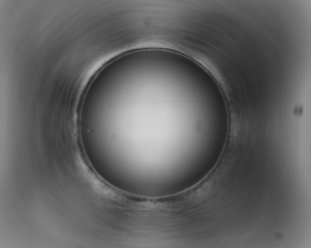 X0000111500996200907141308