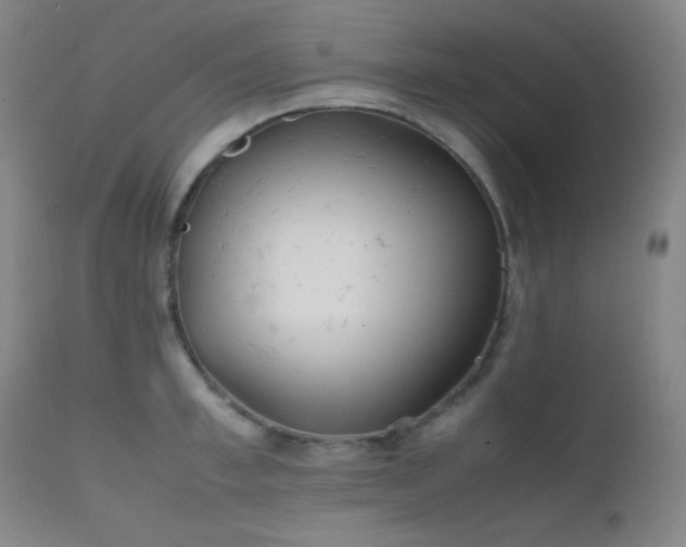 X0000111500997200907141308