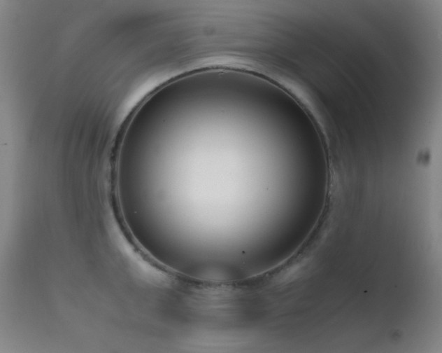 X0000111500999200907141308
