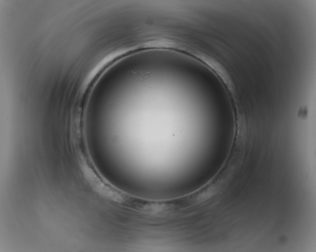 X0000111501000200907141308